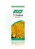 Dandelion 50ml